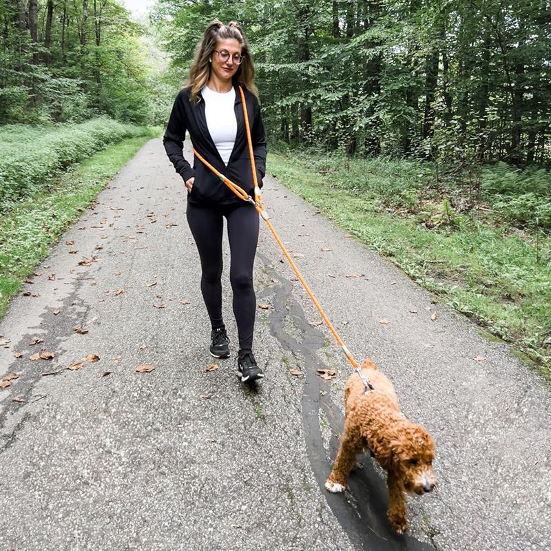 Running Zwift - Reflective Hands-Free Dog Leash for Hiking,