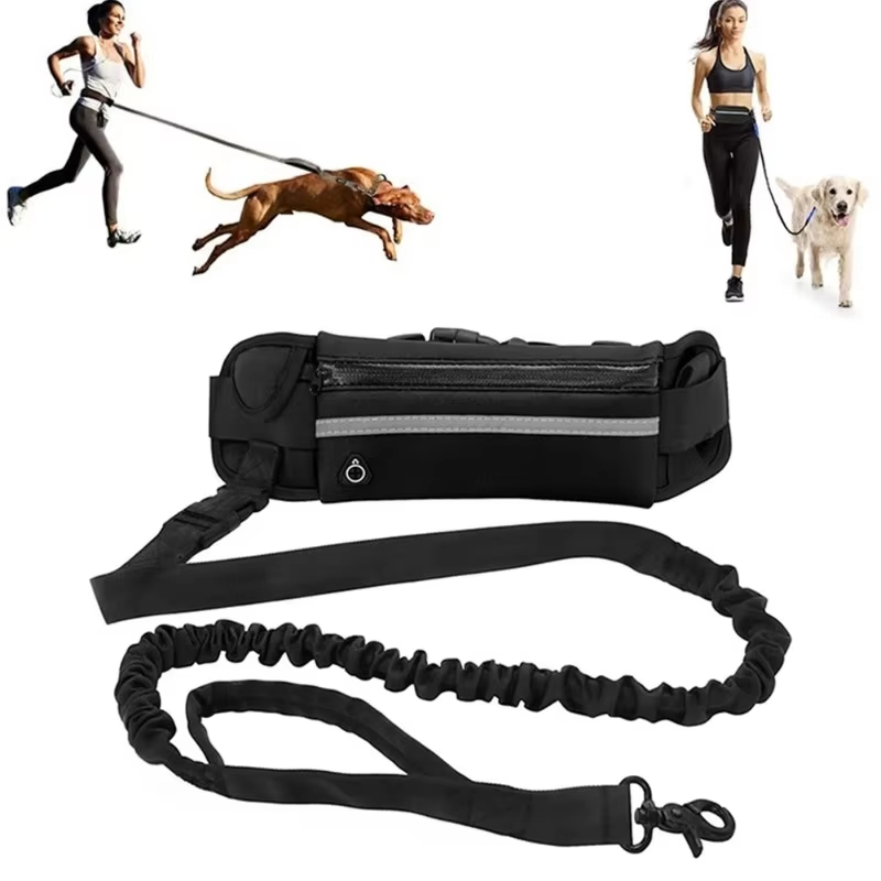 HOMEFISH Hands-Free Dog Leash  - đánh giá và giá Running Zwift