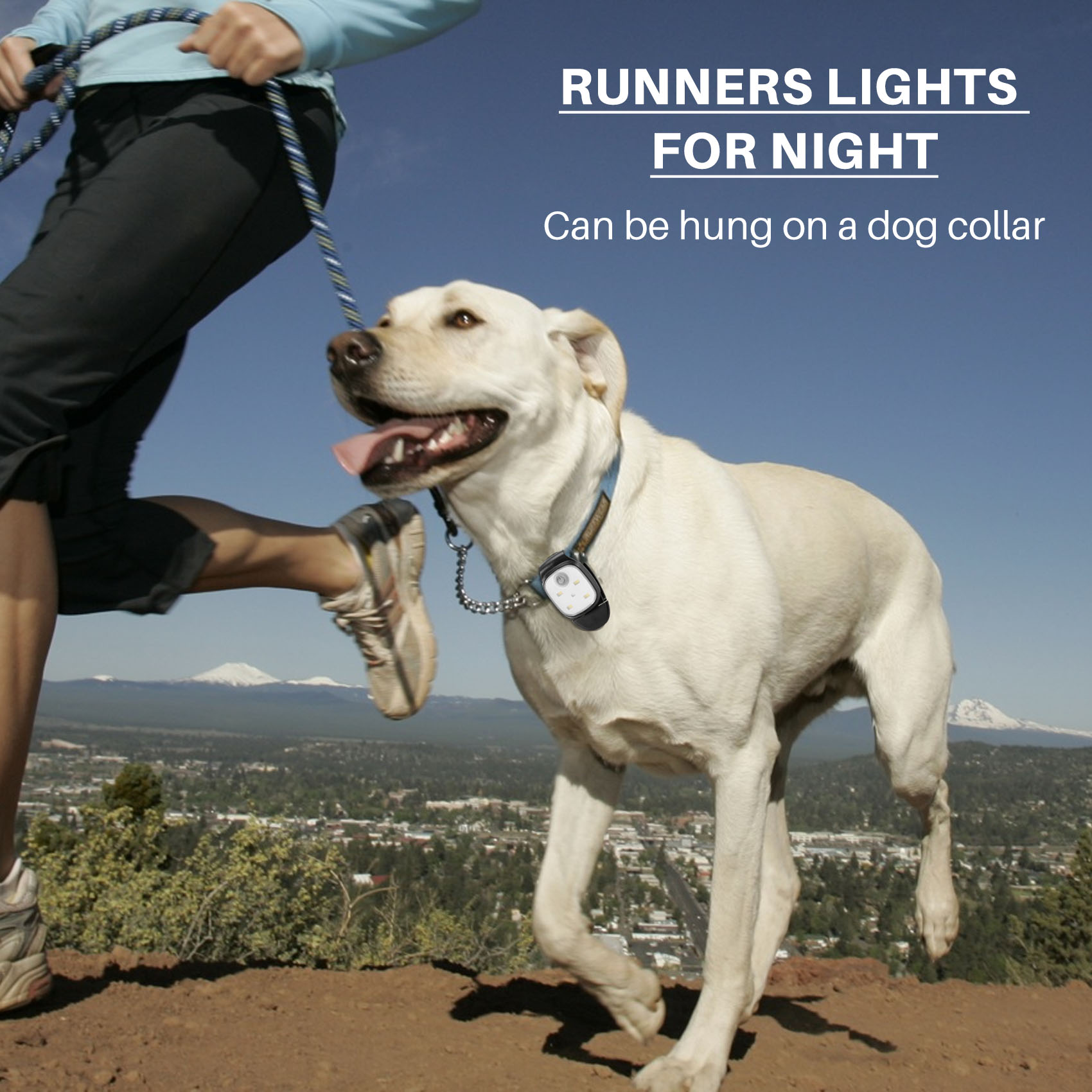 XSXS-Outdoor Night Clip On Run - đánh giá và giá Running Gear Accessories